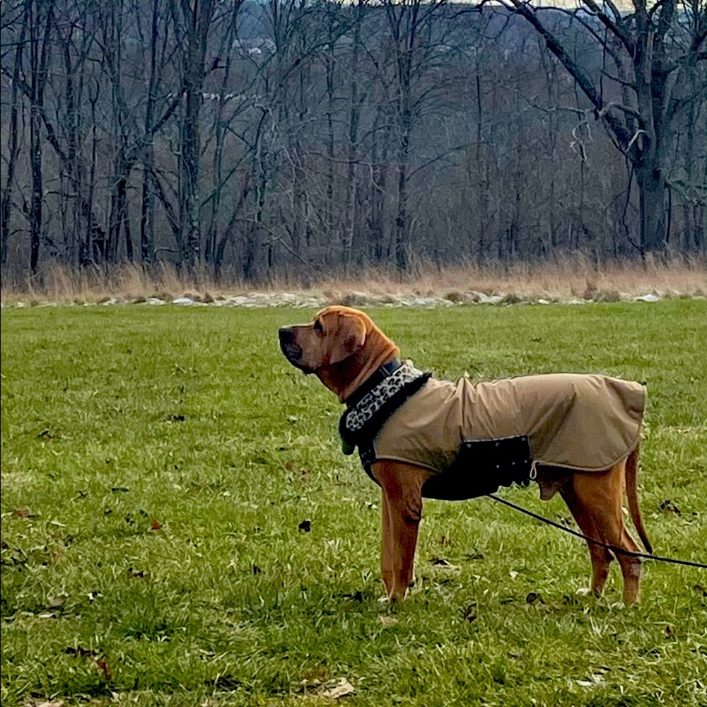 Big Boi says BOGO- Entire closet!!